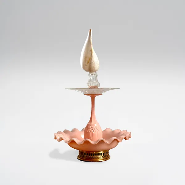 Charlotte Brinbaum, Apricot shell, 2025