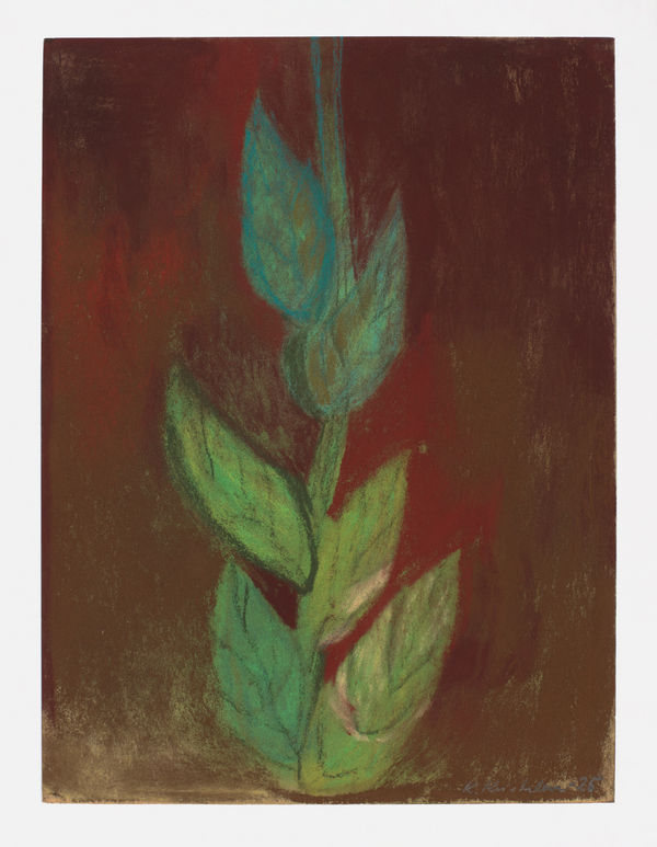 Klara Kristalova, Det som växer / What Grows, 2025