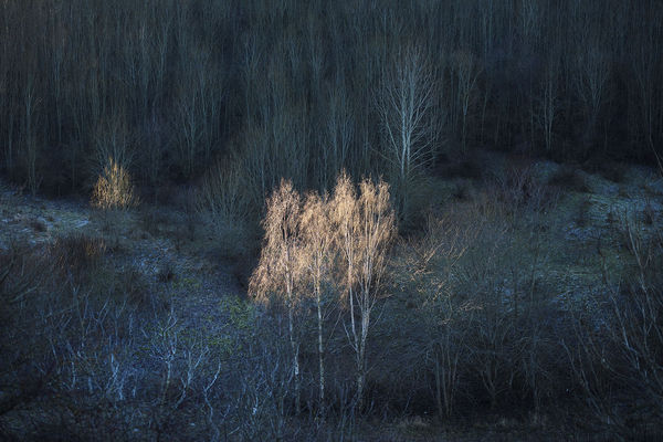 Ulf Lundin, Monumentet / The Monument (01), 2018