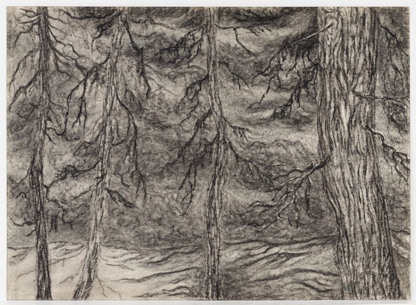 Jeff Olsson, Höga träd / Tall Trees, 2023