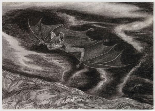 Jeff Olsson, På jakt / On the Prowl, 2023