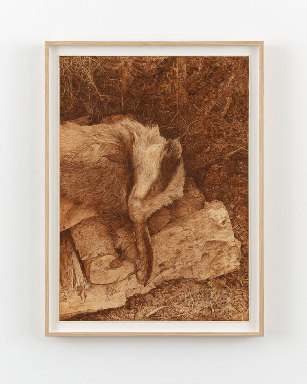 Roger Andersson, Cursed Sleep IV, 2025