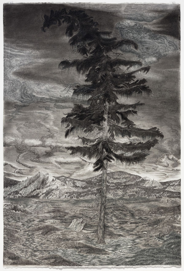 Jeff Olsson, Svängd / Crooked, 2022