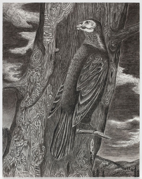 Jeff Olsson, Rovfågel / Bird of Prey, 2023