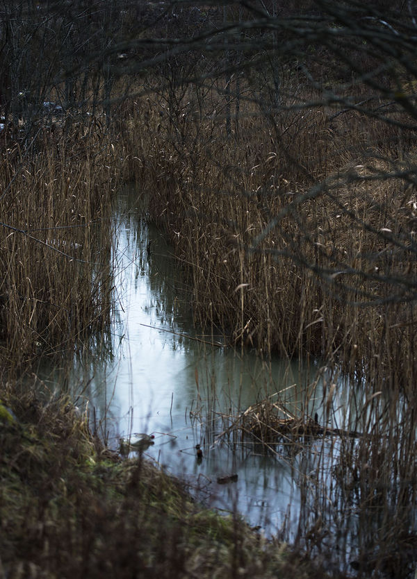 Ulf Lundin, Monumentet / The Monument (13), 2018