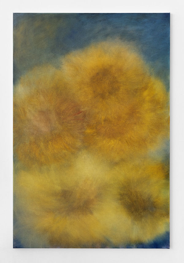 Clara Gesang-Gottowt, Solrosor II / Sunflowers II, 2021