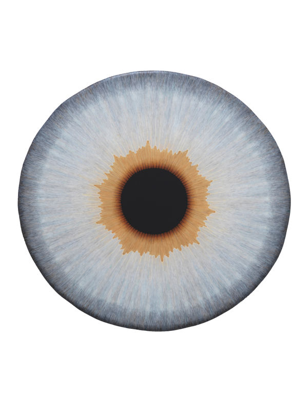 Ulla Wiggen, Iris XXIV Maja, 2021