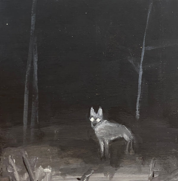 Nancy Friedland, Garden of Eden #1, 2022