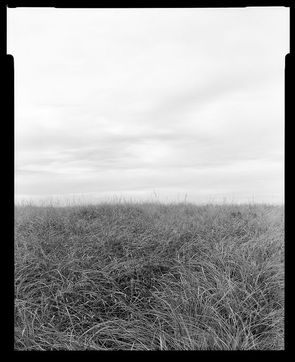 Frédéric Silberman, Herring Cove No. 11, 2018