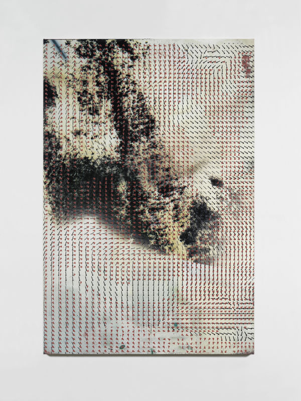 Hugh Scott-Douglas Dangjin, 2019