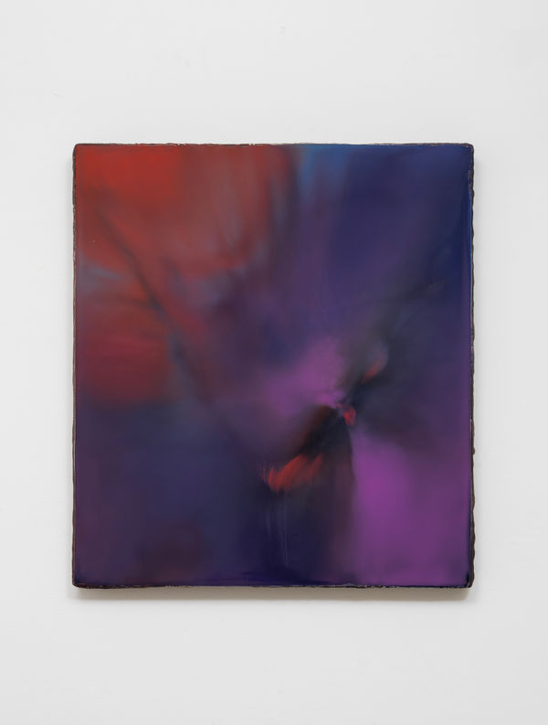 Friendly Mountain Goat