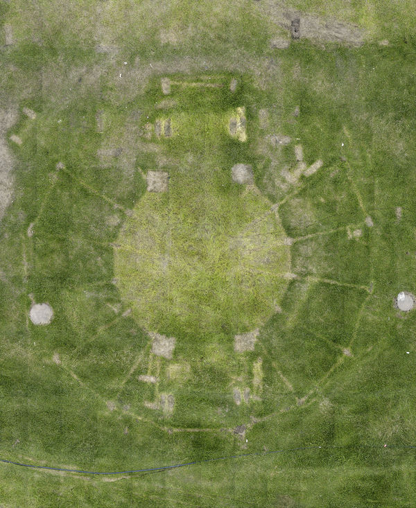 Andreas Gefeller Meadow 1, 2002