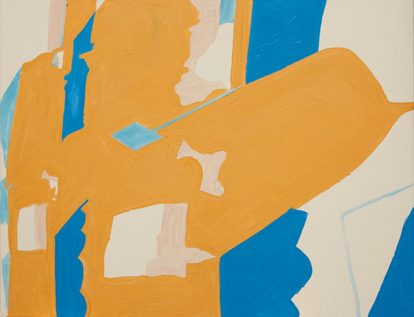 Koen van den Broek Birds #29, 2013