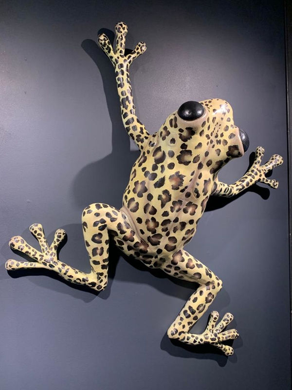 Clare Ferguson-Walker, Leopard Frog