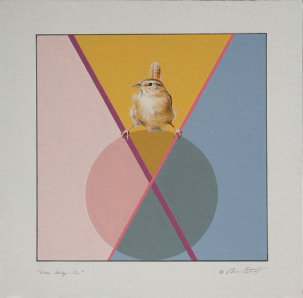 Andrew Denman, Wren Study: On