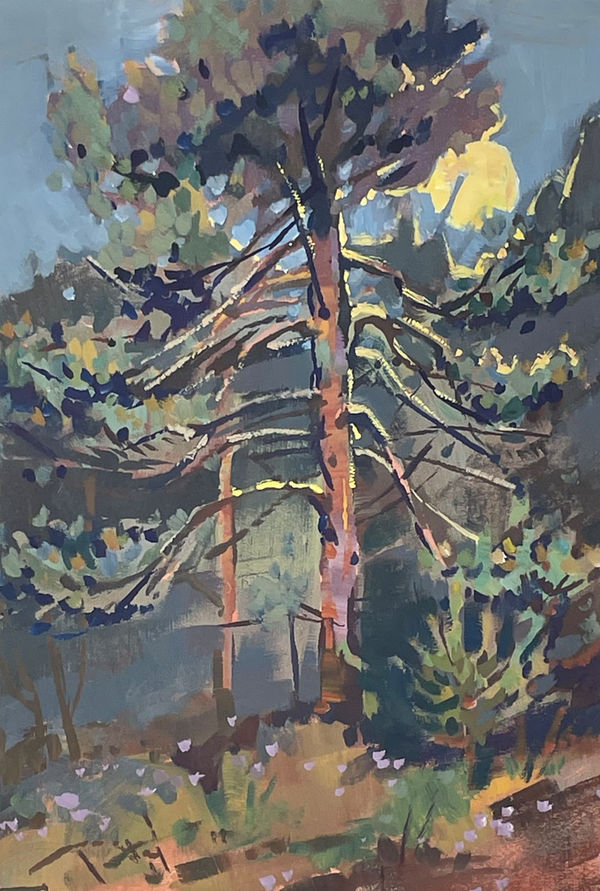 Noah Warnes, Scots Pine Nocturne, 2023