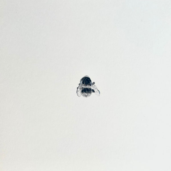 Evie Rich, Bee II, 2023