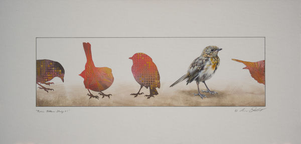 Andrew Denman, Robin Pattern Study #1