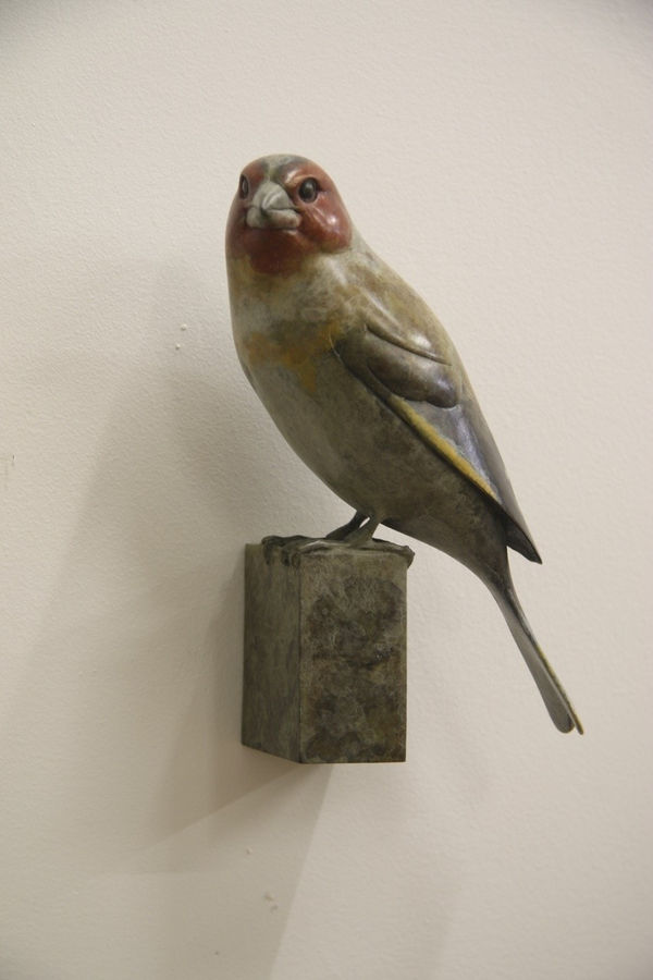 Adam Binder, Wall Mounted Goldfinch, 2023
