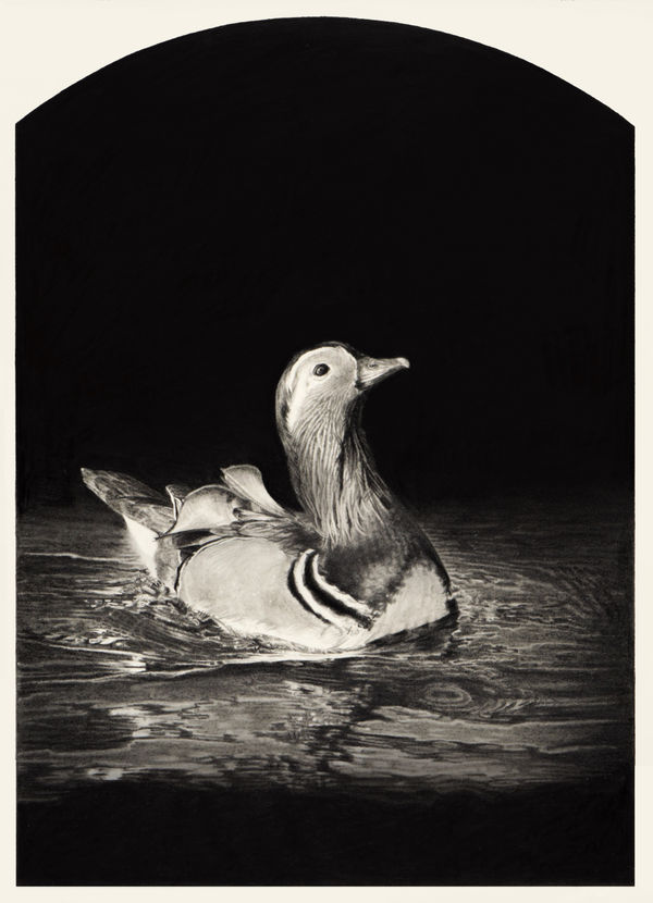 Angela French, The Mandarin