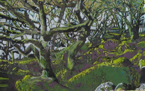 Philippa Beale, Wistmans Wood, Dartmoor, 2020