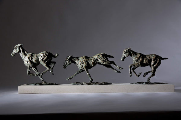 Jane Shaw, Galloping Horse Series I, II, III
