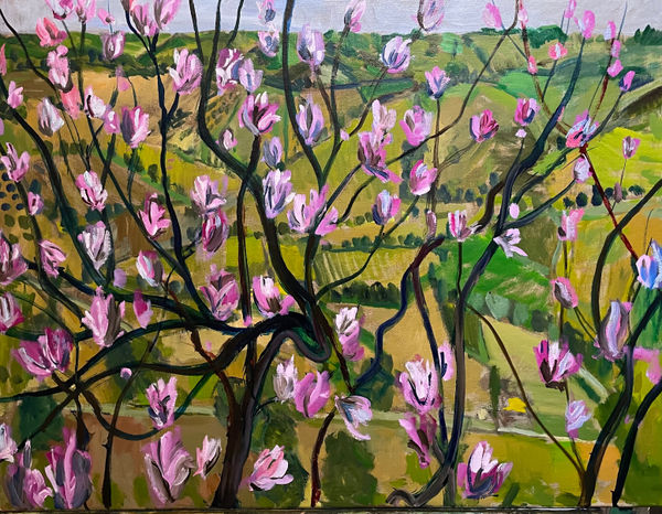 Paul Finn, Orvieto Magnolias, 2025