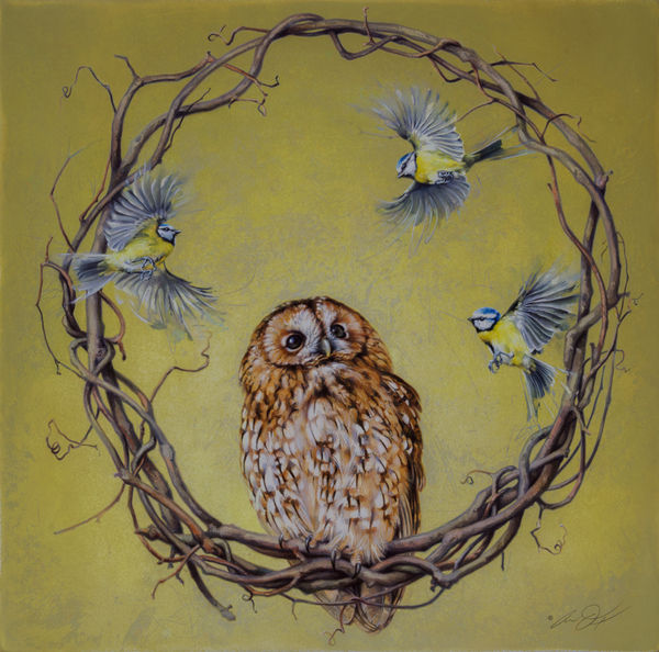 Andrew Denman, Mob Rules