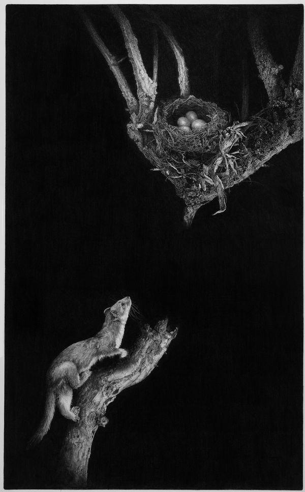 Angela French, The Thief in the Hedgerow