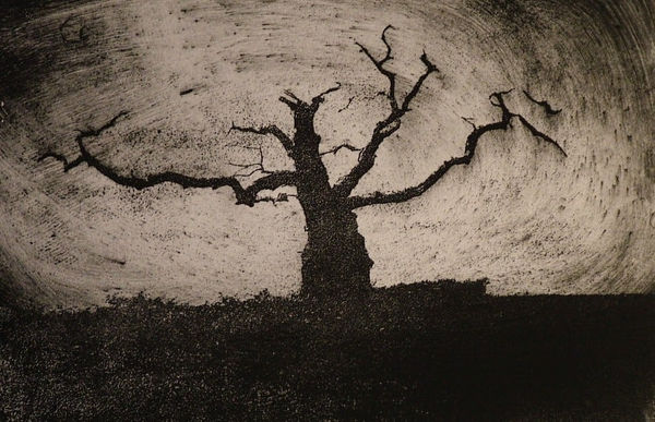 Emma Buckmaster, The East Wind Blows