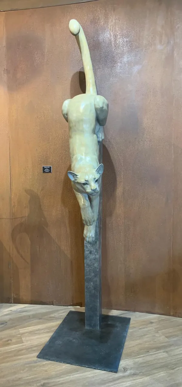 Gill Parker, Puma on Pole