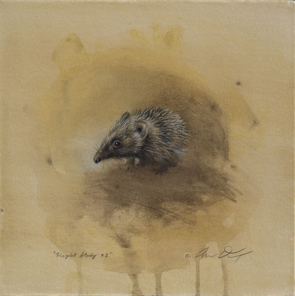 Andrew Denman, Hoglet Study #2