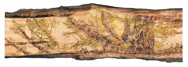 Tilia Holmes, Owl & the Oak