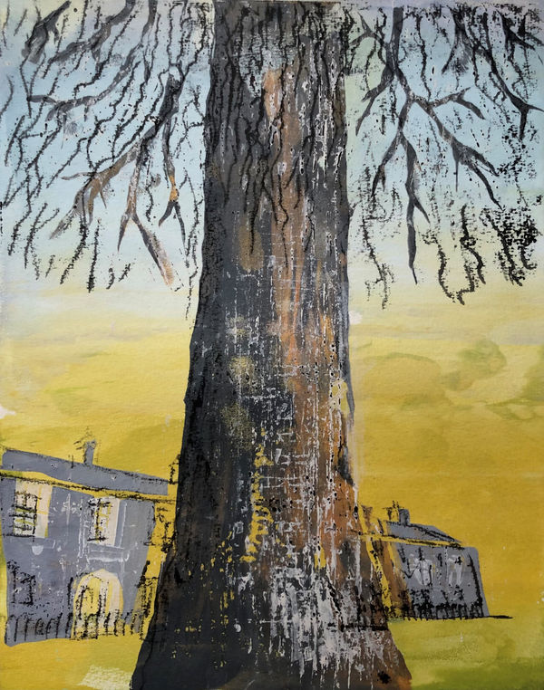 Rebecca Guyett, Salisbury Field