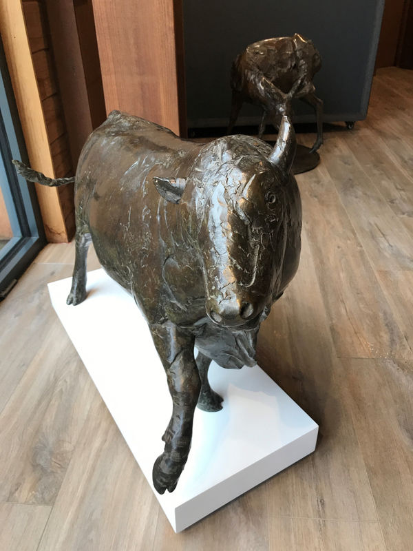 Adam Roud, Bull Study