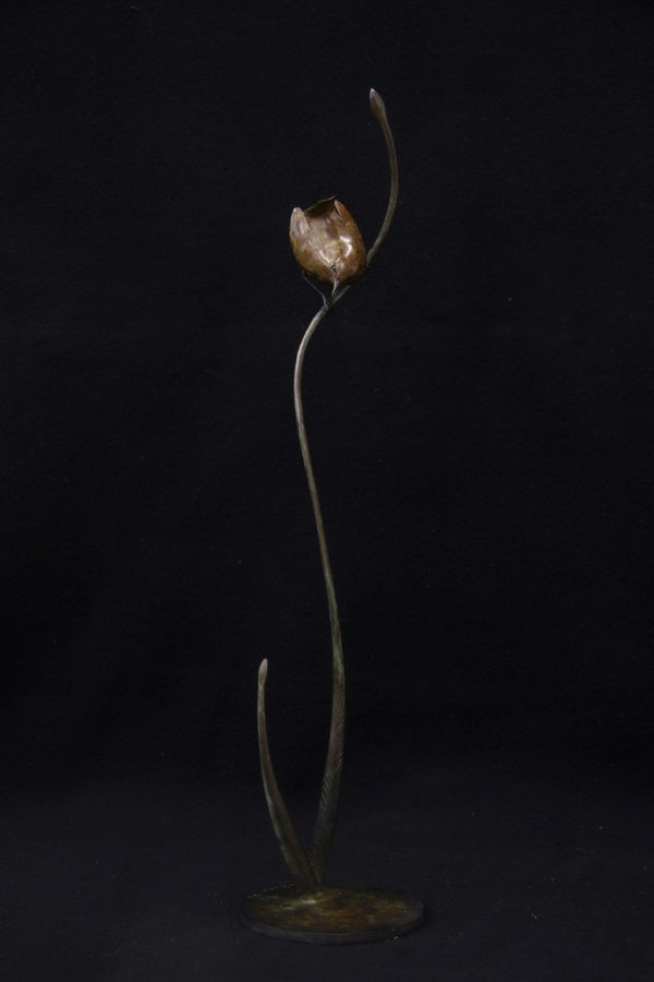 Adam Binder, Wren, 2023