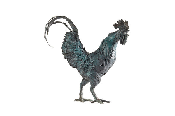 Helen Gordon, Cockerel