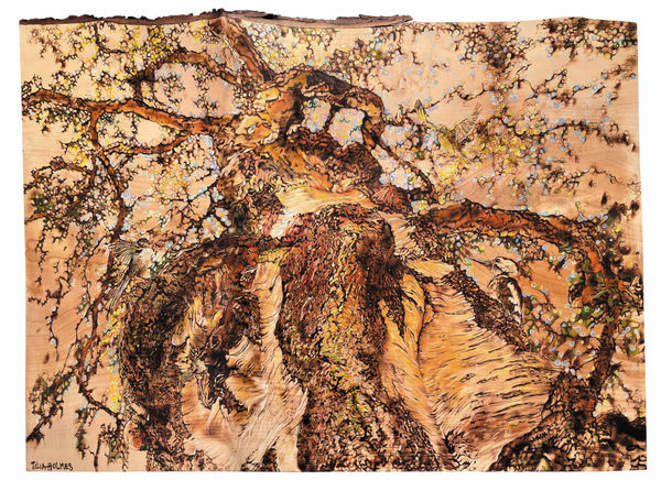 Tilia Holmes, The Majestic Birch