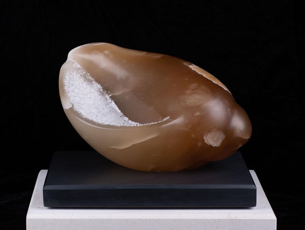 Ray Moseley, The Papillon Shell , 2023