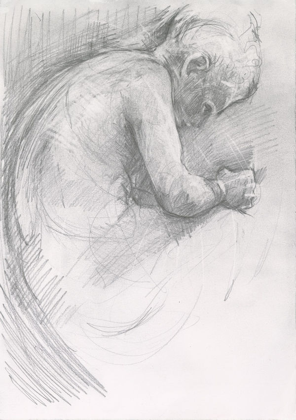 Carol Peace, The Spinario BM , 2025