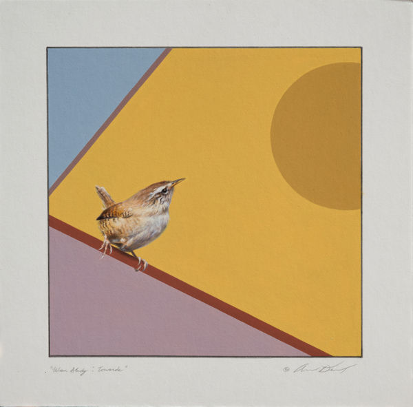 Andrew Denman, Wren Study: Towards