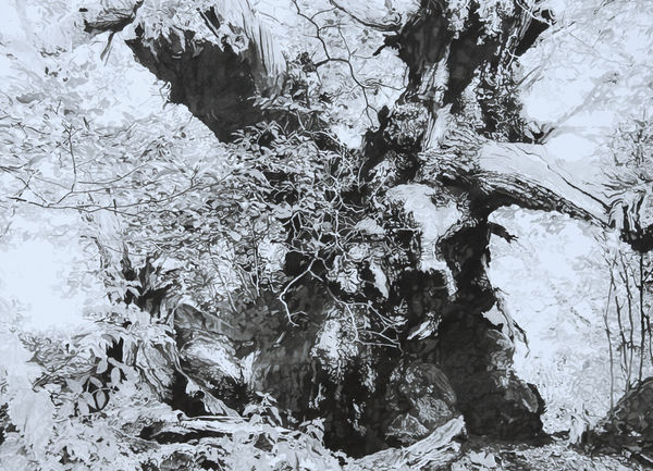 Tim Craven, The Tortworth Chestnut