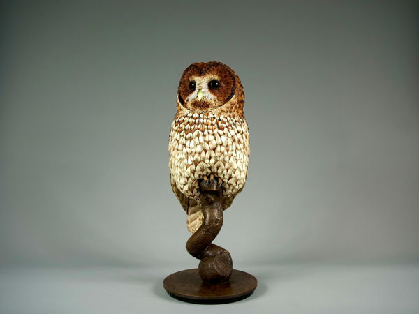 Jamie Lord, Nocturne -Tawny Owl, 2026