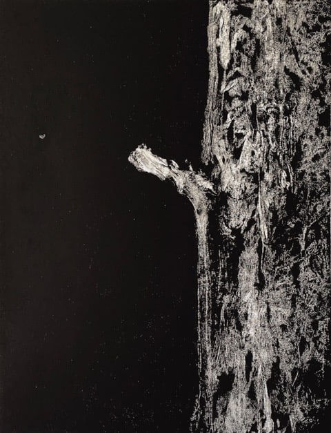 Alex Faulkner, End of Myth (Yew Trees at Kingly Vale)