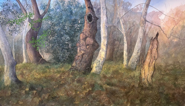 Richard Bavin, Staverton Thicks, Autumn Afternoon