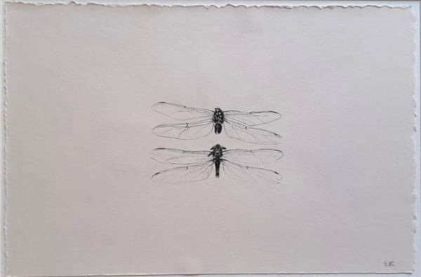 Evie Rich, Broken Dragonflies, 2023