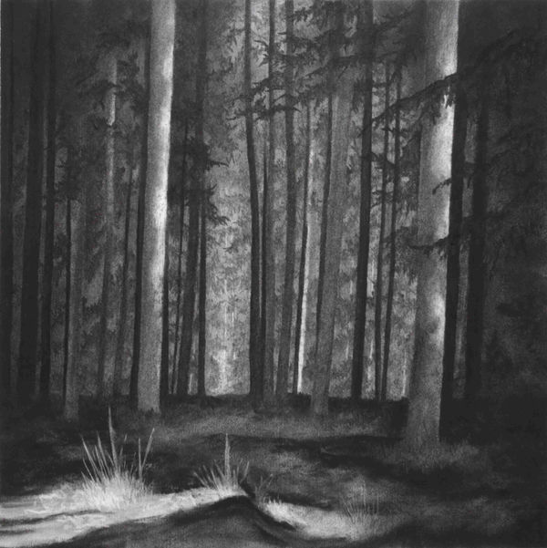 Jemma Appleby, Norleywood #10