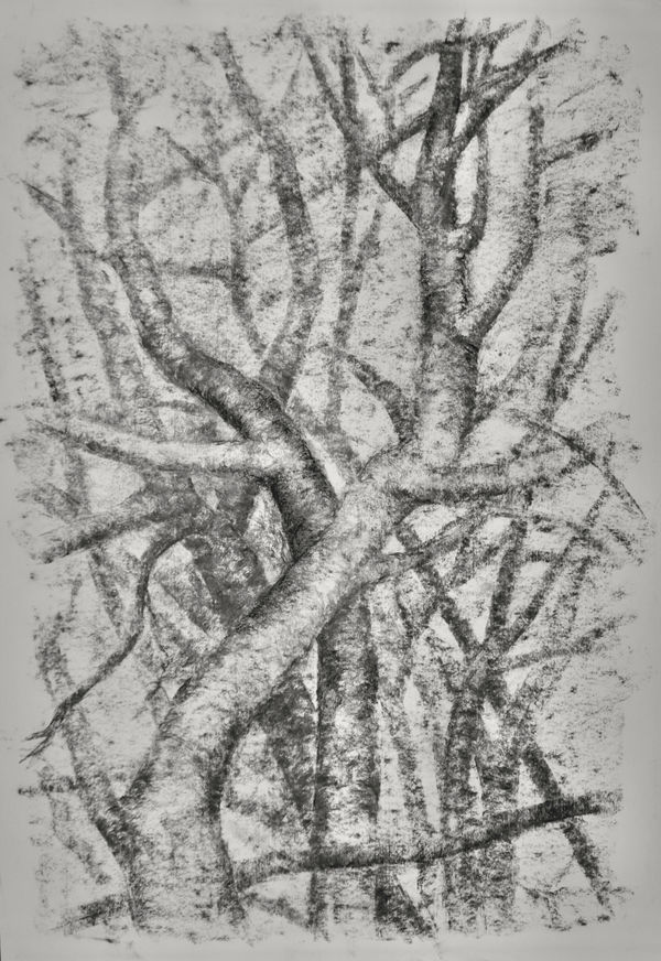 Annabel Cullen, Untitled