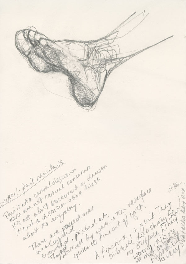 Carol Peace, Whether to paint mountains, 2025