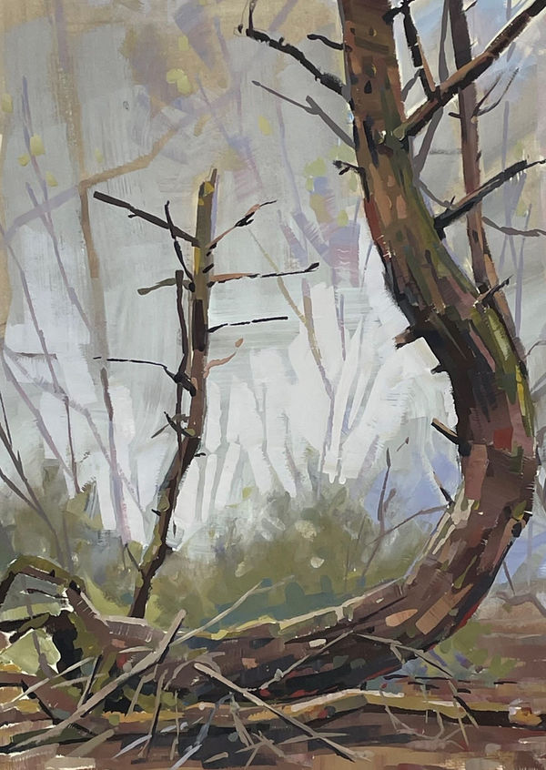 Noah Warnes, Twisted Pine Study, 2023